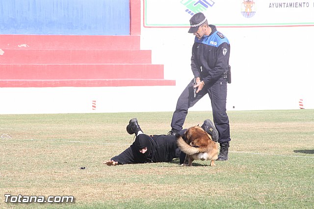 Exhibicin Guas Caninos Detectores de Drogas - 304