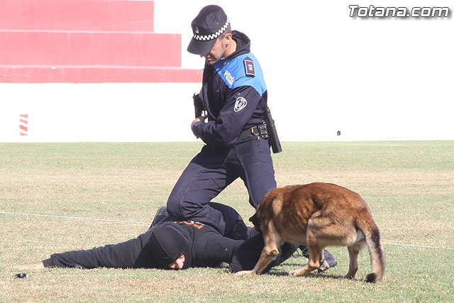 Exhibicin Guas Caninos Detectores de Drogas - 305