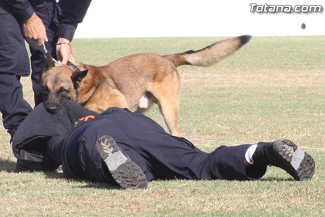 Exhibicin Guas Caninos Detectores de Drogas - 306