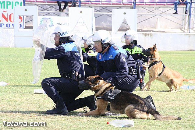 Exhibicin Guas Caninos Detectores de Drogas - 315