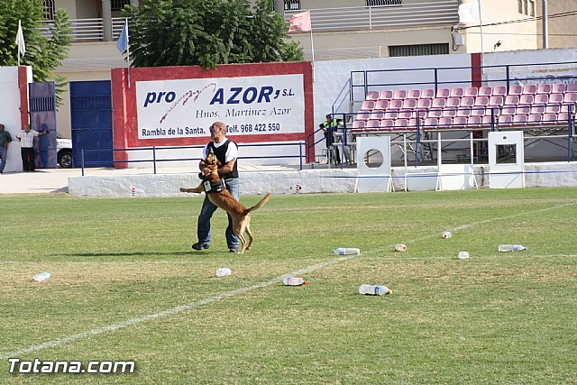 Exhibicin Guas Caninos Detectores de Drogas - 317