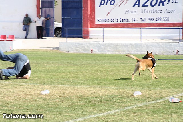 Exhibicin Guas Caninos Detectores de Drogas - 318