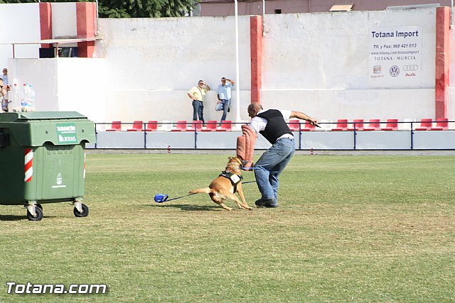 Exhibicin Guas Caninos Detectores de Drogas - 322