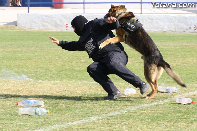 Exhibicin Guas Caninos Detectores de Drogas - 327