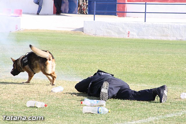 Exhibicin Guas Caninos Detectores de Drogas - 328