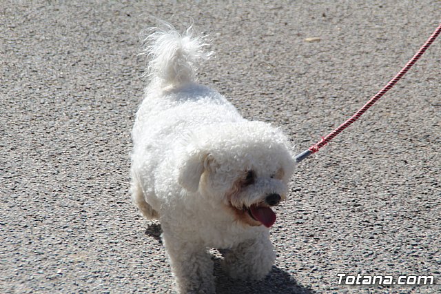 I Marcha Solidaria Unidos por la ELA - 304