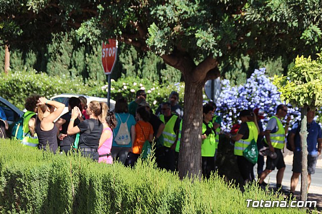 I Marcha Solidaria Unidos por la ELA - 342