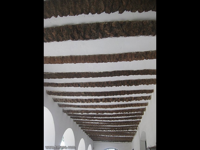 Viaje a Elche, Santa Pola y Guardamar del Segura - Marzo 2015 - 5