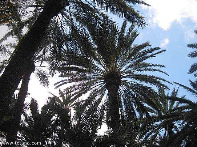 Viaje a Elche, Santa Pola y Guardamar del Segura - Marzo 2015 - 10