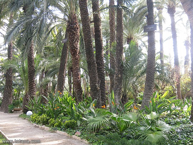 Viaje a Elche, Santa Pola y Guardamar del Segura - Marzo 2015 - 15