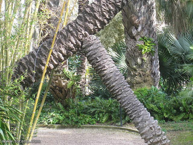 Viaje a Elche, Santa Pola y Guardamar del Segura - Marzo 2015 - 16