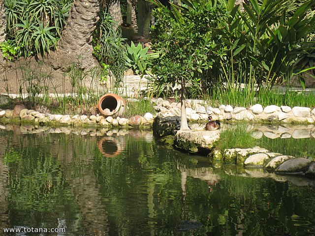 Viaje a Elche, Santa Pola y Guardamar del Segura - Marzo 2015 - 19