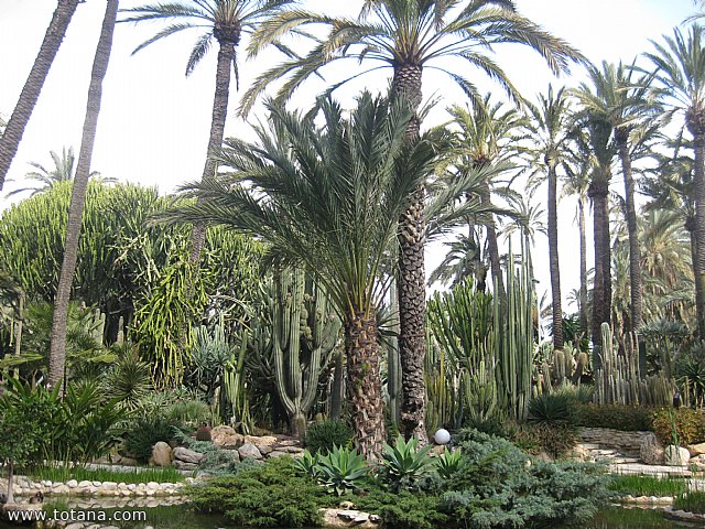 Viaje a Elche, Santa Pola y Guardamar del Segura - Marzo 2015 - 20