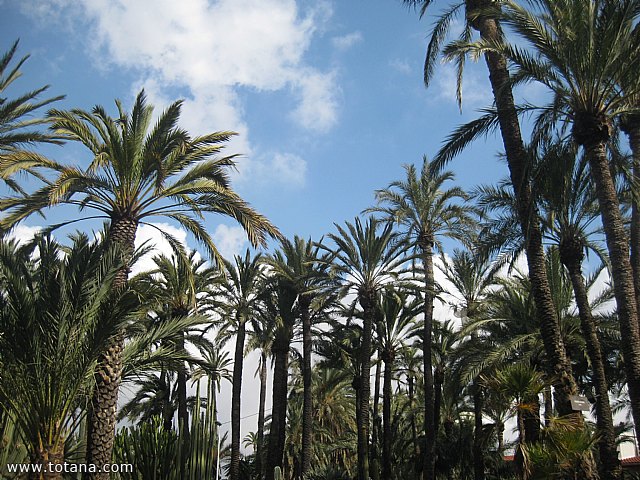 Viaje a Elche, Santa Pola y Guardamar del Segura - Marzo 2015 - 21