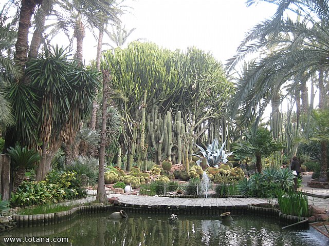 Viaje a Elche, Santa Pola y Guardamar del Segura - Marzo 2015 - 23