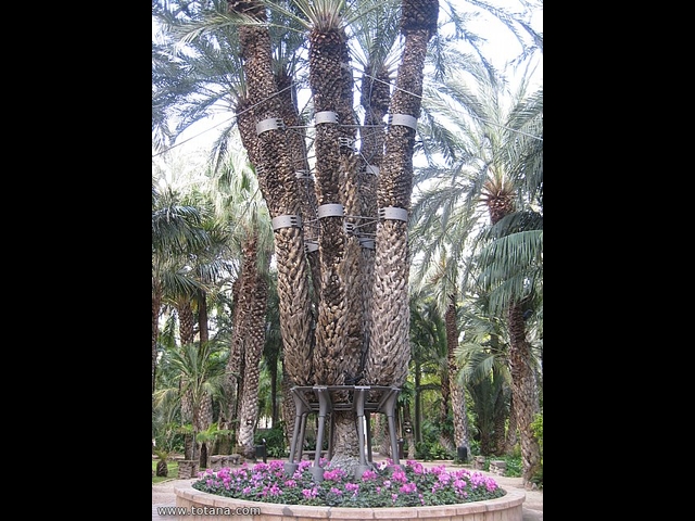 Viaje a Elche, Santa Pola y Guardamar del Segura - Marzo 2015 - 28