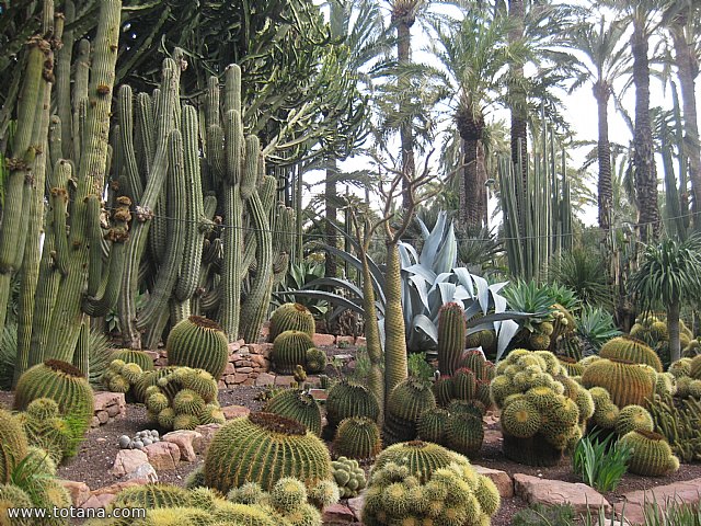 Viaje a Elche, Santa Pola y Guardamar del Segura - Marzo 2015 - 29