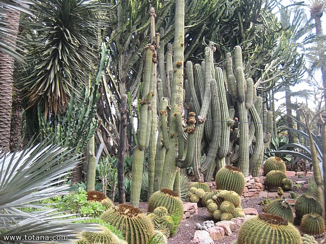 Viaje a Elche, Santa Pola y Guardamar del Segura - Marzo 2015 - 30