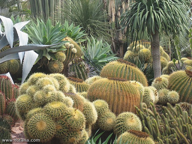 Viaje a Elche, Santa Pola y Guardamar del Segura - Marzo 2015 - 32