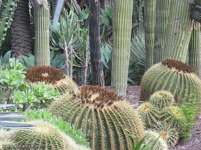 Viaje a Elche, Santa Pola y Guardamar del Segura - Marzo 2015 - 33