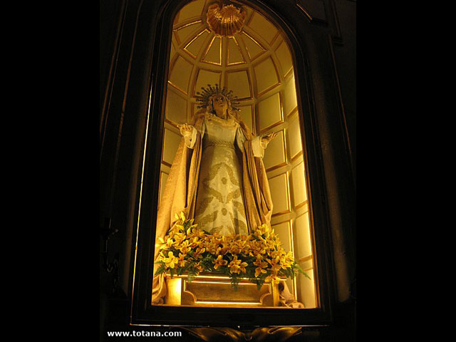 Viaje del Centro Municipal de Personas Mayores a Elche - 22