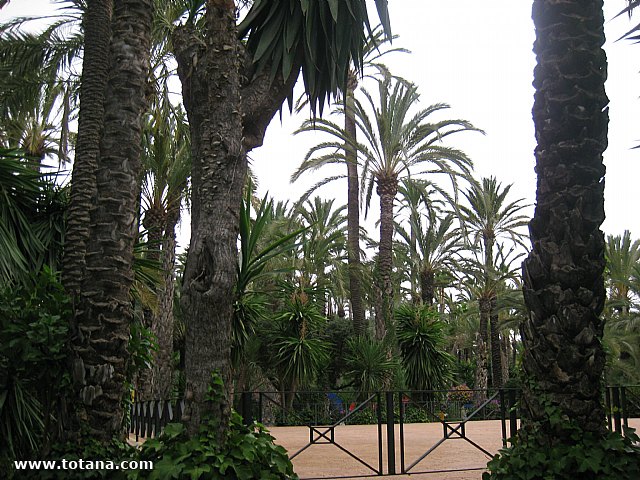 Viaje del Centro Municipal de Personas Mayores a Elche - 43