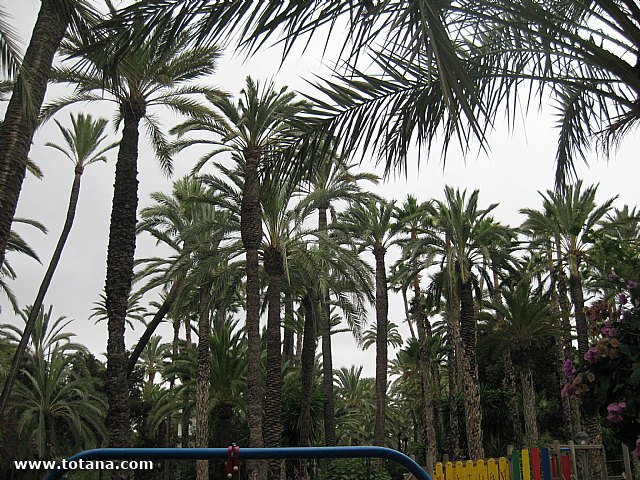 Viaje del Centro Municipal de Personas Mayores a Elche - 49