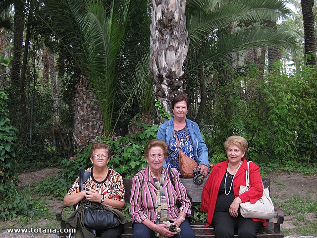 Viaje del Centro Municipal de Personas Mayores a Elche - 52