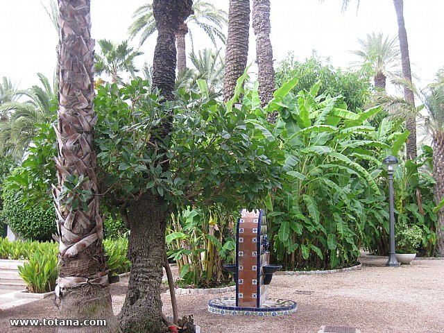 Viaje del Centro Municipal de Personas Mayores a Elche - 60