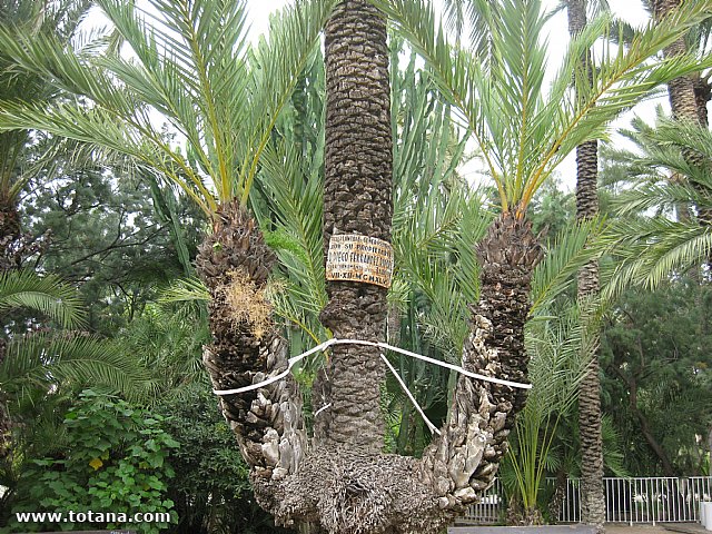 Viaje del Centro Municipal de Personas Mayores a Elche - 69