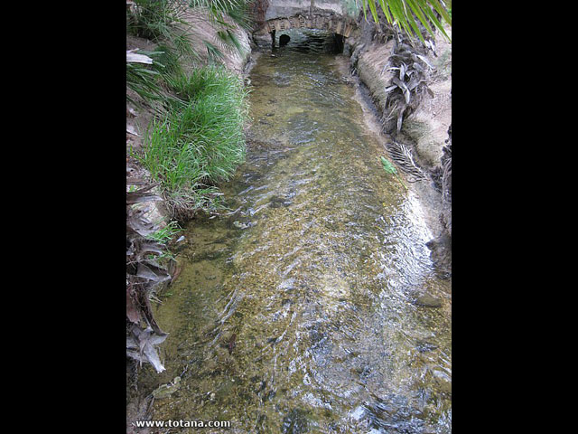 Viaje del Centro Municipal de Personas Mayores a Elche - 71
