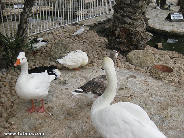 Viaje del Centro Municipal de Personas Mayores a Elche - 77