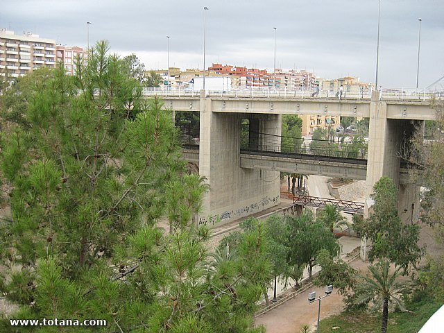 Viaje del Centro Municipal de Personas Mayores a Elche - 84