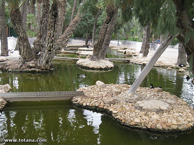 Viaje del Centro Municipal de Personas Mayores a Elche - 88