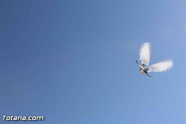Procesin del Encuentro. Domingo de Resurreccin 2015 - 510