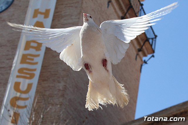 Procesin del Encuentro. Domingo de Resurreccin 2015 - 514