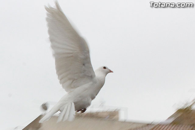 Procesin del Encuentro. Domingo de Resurrecin 2013 - 272