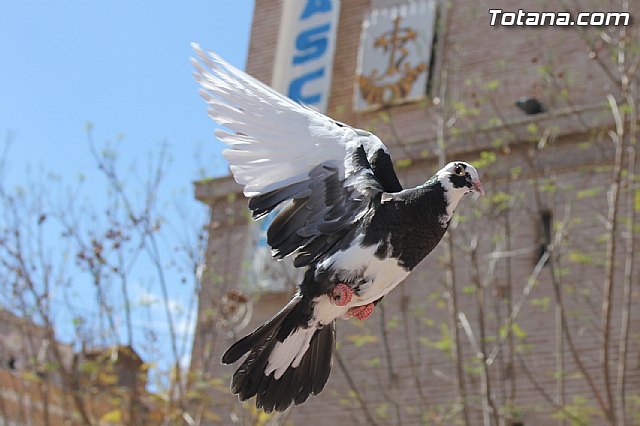 Procesin del Encuentro. Domingo de Resurreccin 2014 - 373