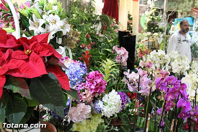 II Concurso Escaparatismo  - 36