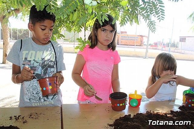 Escuelas de Verano 2019 - 37