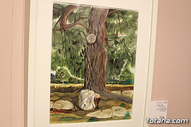 Exposicin Un paseo por las faldas de Sierra Espua. Canciones, pinturas y poemas, de Alfonso Gallego - 17