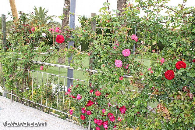 Visita del PP a Etosa y Hotel Executive Sport - 110