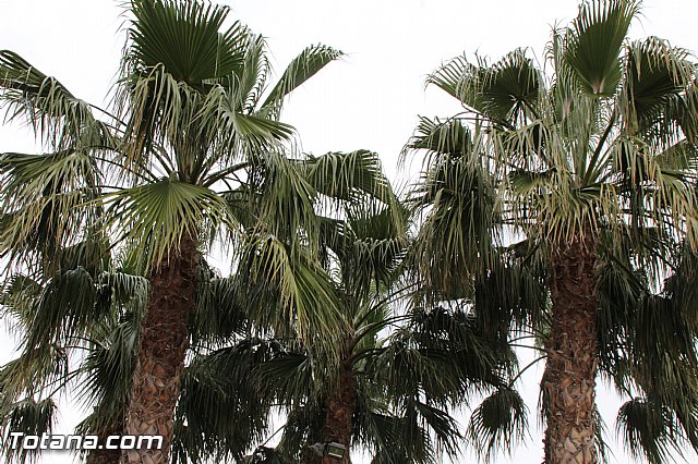 Visita del PP a Etosa y Hotel Executive Sport - 124