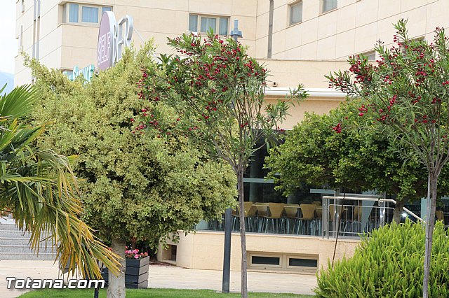 Visita del PP a Etosa y Hotel Executive Sport - 126