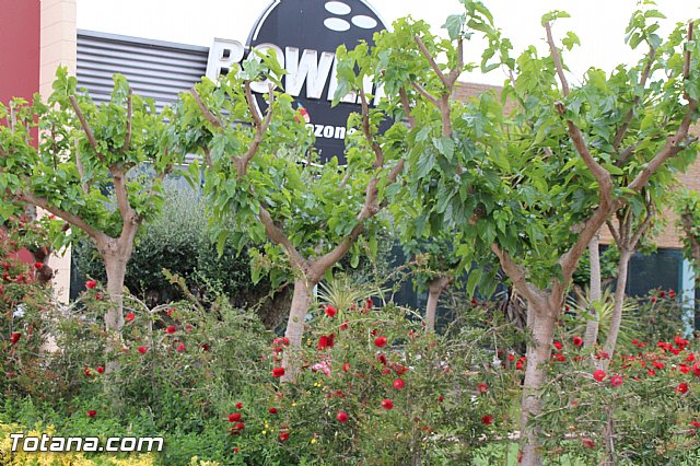 Visita del PP a Etosa y Hotel Executive Sport - 128