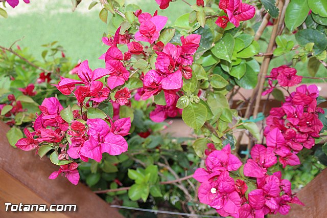 Visita del PP a Etosa y Hotel Executive Sport - 148