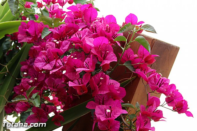 Visita del PP a Etosa y Hotel Executive Sport - 163