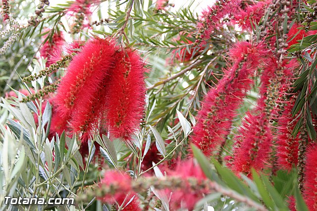 Visita del PP a Etosa y Hotel Executive Sport - 165