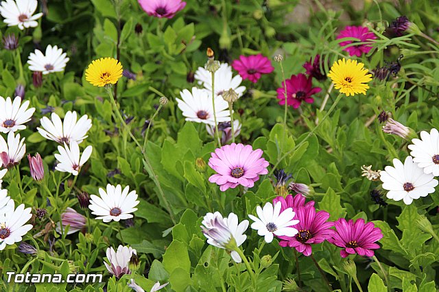 Visita del PP a Etosa y Hotel Executive Sport - 167