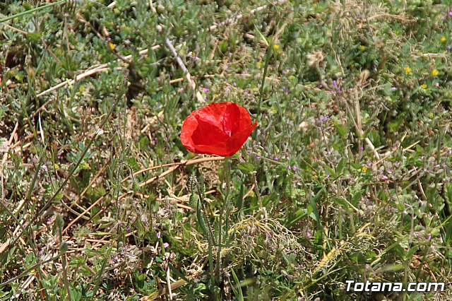 25 Aniversario Escuadrn de Vigilancia Area nmero 13 (EVA-13) - 66
